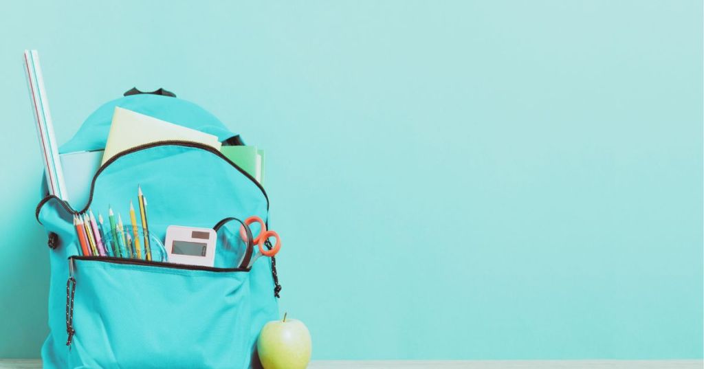 The Pros and Cons of Homeschooling&nbsp;Children